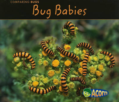 Bug Babies on Hardback by Charlotte Guillain