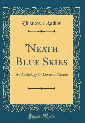 'neath Blue Skies by Unknown Author image