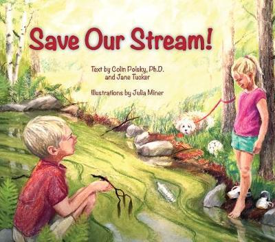 Save Our Stream on Hardback by Colin Polsky