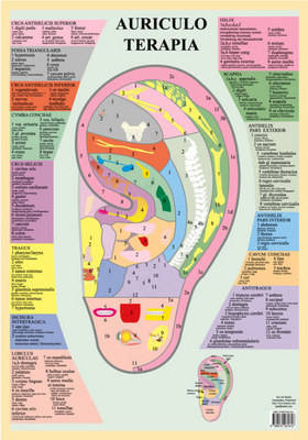 Auriculo Terapia image