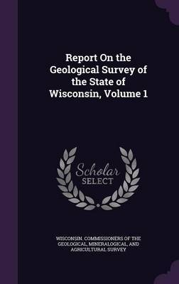 Report on the Geological Survey of the State of Wisconsin, Volume 1 image