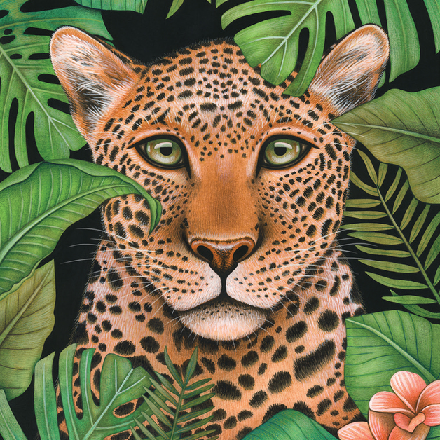 Buy Art Maker Masterclass Watercolour Pencils Kit at Mighty Ape NZ