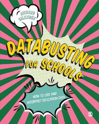 Databusting for Schools by Richard Selfridge image