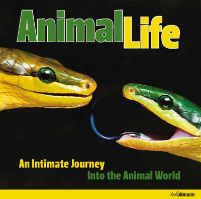 Animal Life image