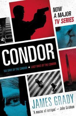 Condor (film Tie-in) by James Grady image