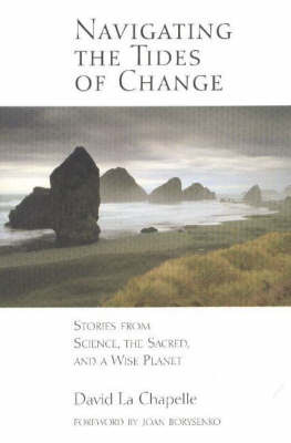 Navigating the Tides of Change by David La Chapelle image