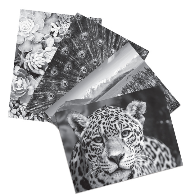 Buy Crayola HD Coloring Kit at Mighty Ape NZ