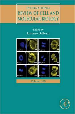 International Review of Cell and Molecular Biology: Volume 330 image