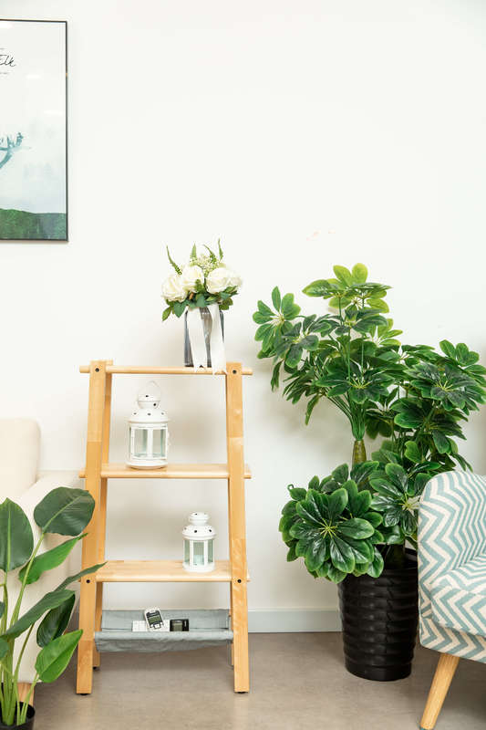 Buy Solid Birch Wood Shelving Storage Unit at Mighty Ape NZ