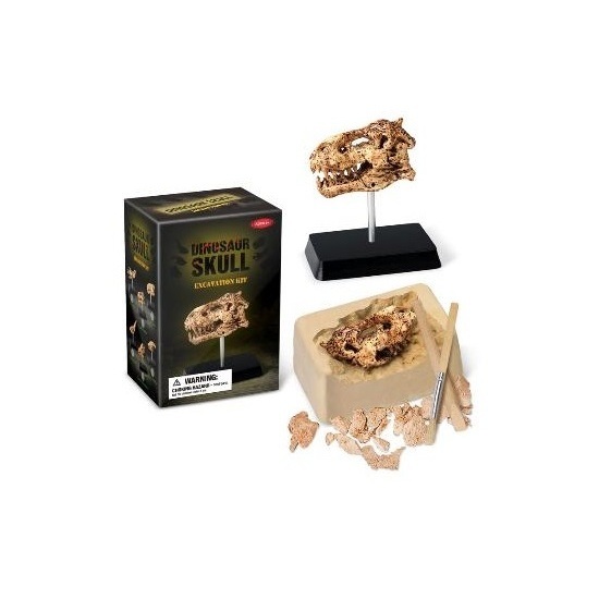 Dinosaur Skull Excavation Kit image