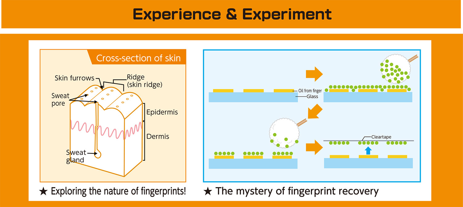 Artec Hands-on Lab - Detective Lab image