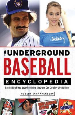 The Underground Baseball Encyclopedia image