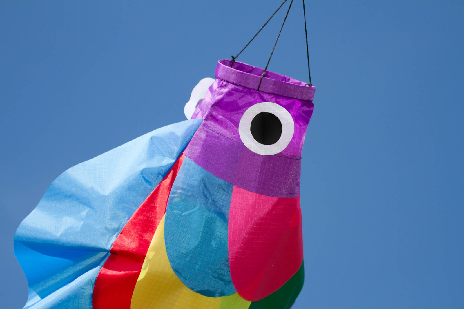 Buy Windsock Tropical Fish Windsock Rainbow at Mighty Ape NZ