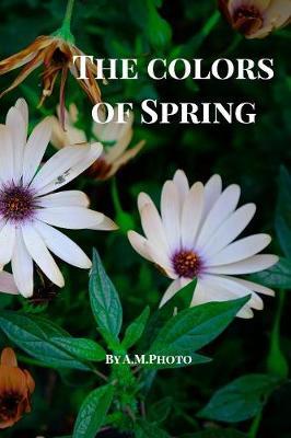 The Colors of Spring by Am Photo image