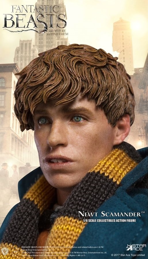 Fantastic Beasts: Newt Scamander - 1/6 Scale Figure image