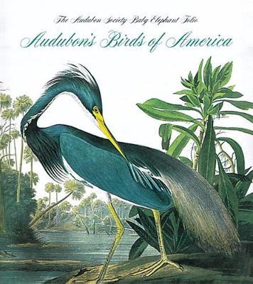 Audubon's Birds of America - Tiny Folio by Roger Tory Peterson image