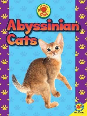 Abyssinian Cats by Tammy Gagne image