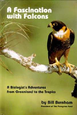 Fascination with Falcons by Bill Burnham image