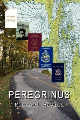 Peregrinus by Michael Bavicz image