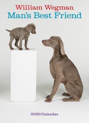 William Wegman Man's Best Friend 2020 Wall Calendar image