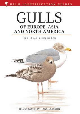 Gulls of Europe, Asia and North America by Klaus Malling Olsen image