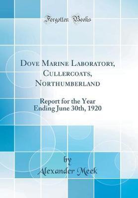 Dove Marine Laboratory, Cullercoats, Northumberland by Alexander Meek image
