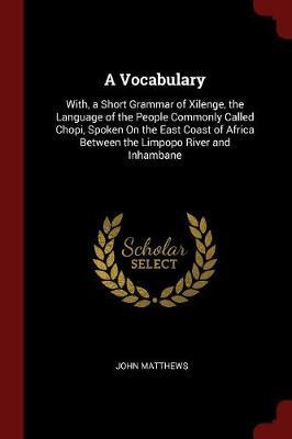 A Vocabulary by John Matthews image