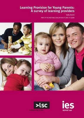 Learning Provision for Young Parents by Sally Dench image