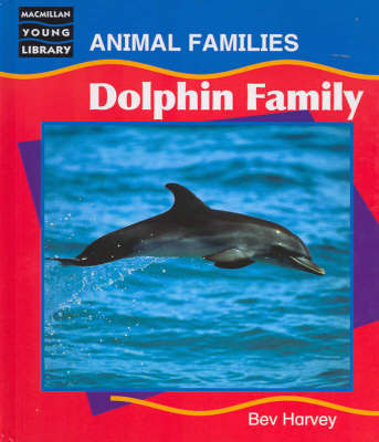 Dolphin Family on Hardback by Bev Harvey