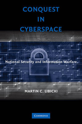 Conquest in Cyberspace by Martin C Libicki image