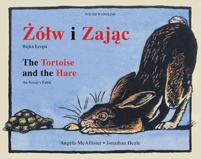 The Tortoise and the Hare by Angela McAllister image