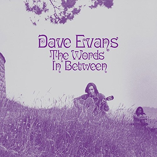 The Words In Between by Evans image