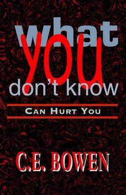 What You Don't Know by C E Bowen image