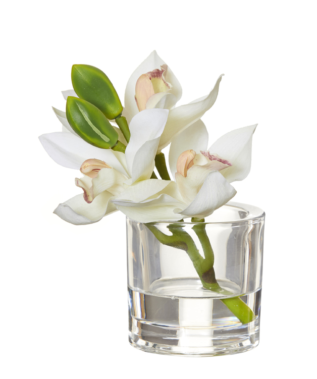 Rogue: White Cymbidium - Glass Vase (15x8x15cm)