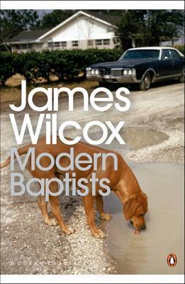 Modern Baptists on Paperback by James Wilcox