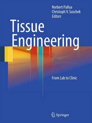 Tissue Engineering image