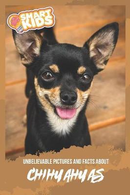 Unbelievable Pictures and Facts About Chihuahua by Olivia Greenwood image