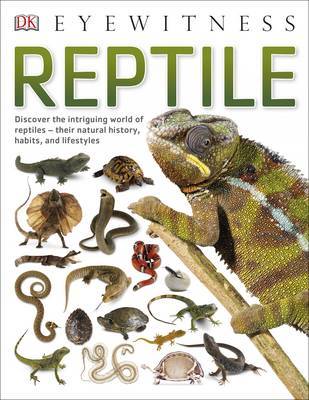 Reptile by DK image