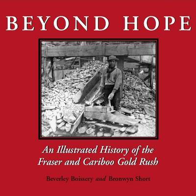 Beyond Hope by Beverley Boissery image