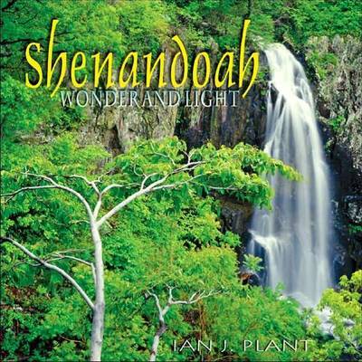 Shenandoah Wonder and Light by Ian J Plant image