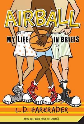 Airball by L D Harkrader image