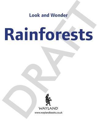Look and Wonder: Incredible Rainforests by Kay Barnham image