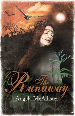 The Runaway by Angela McAllister image
