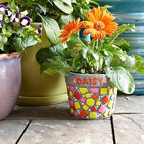 Paint Your Own Stone - Mosaic Flower Pot image