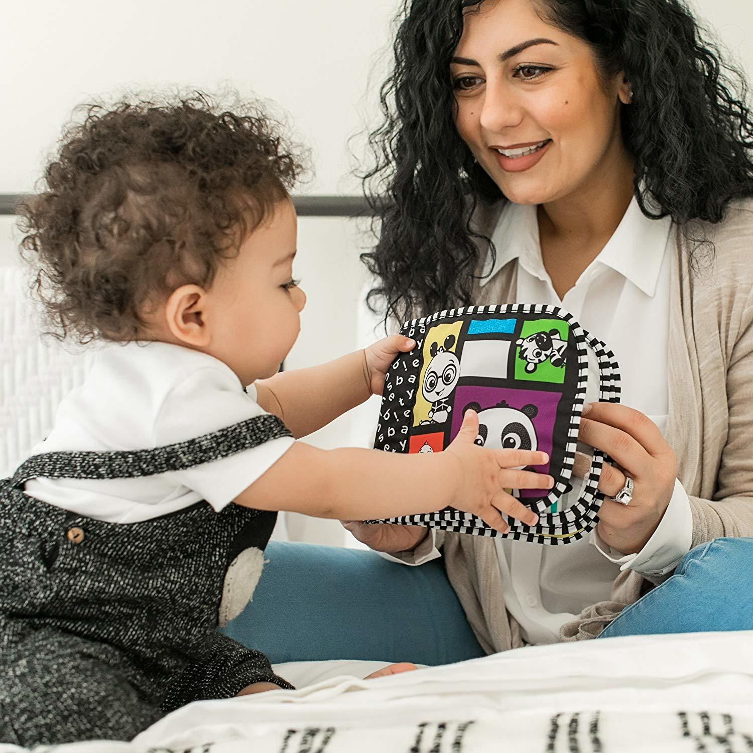 Baby Einstein: Flip & Discover Book - High Contrast image