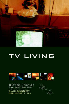 TV Living by David Gauntlett image