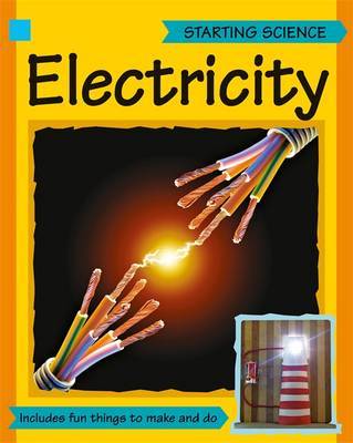 Starting Science: Electricity on Hardback by Sally Hewitt