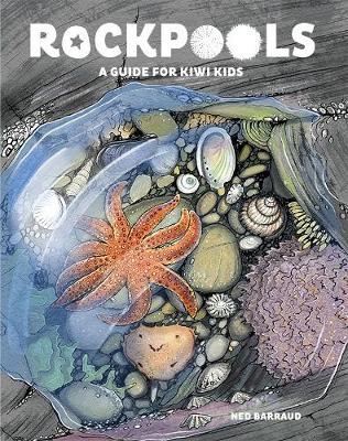 Rock Pools by Ned Barraud image