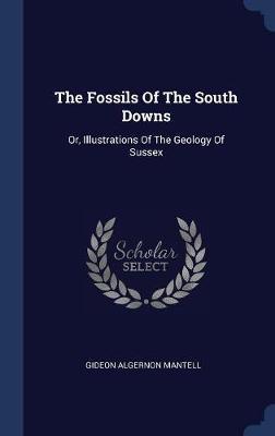 The Fossils of the South Downs on Hardback by Gideon Algernon Mantell