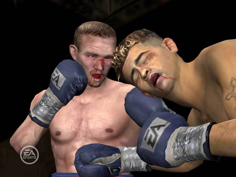 Fight Night Round 3 for PS2 image